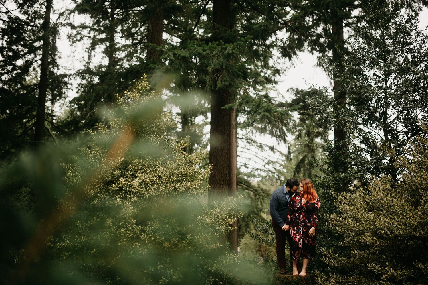 through the trees shot of Francisco and Samantha snuggling up at Hoyt Arboretum in Washington Park engagement